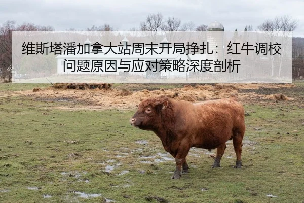 wei-si-ta-pan-jia-na-da-zhan-zhou-mo-kai-ju-zheng-zha-hong-niu-diao-xiao-wen-ti-yuan-yin-yu-ying-dui-ce-lve-shen-du-pou-2-283.jpg