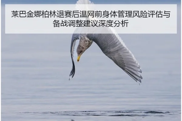 lai-ba-jin-na-bo-lin-tui-sai-hou-wen-wang-qian-shen-ti-guan-li-feng-xian-ping-gu-yu-bei-zhan-tiao-zheng-jian-yi-shen-du-2-713.jpg